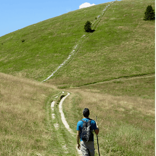 No alternative text provided