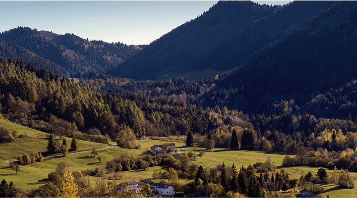 No alternative text provided